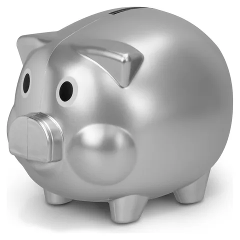 Piggy Bank in silver