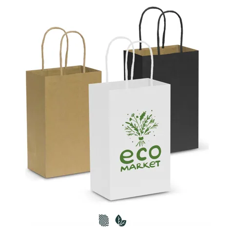 Paper Carry Bag - Small