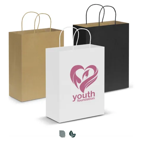 Paper Carry Bag - Large