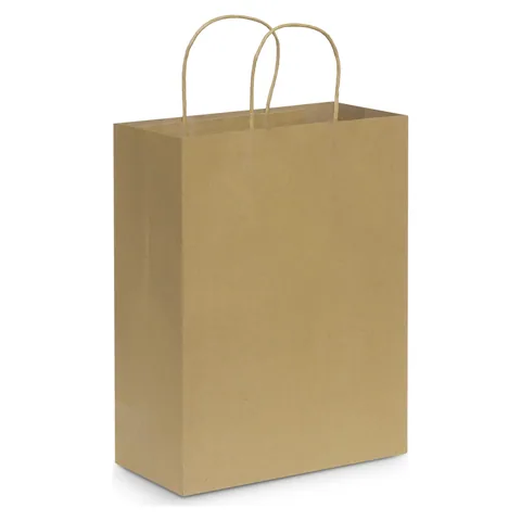 Paper Carry Bag - Large in natural