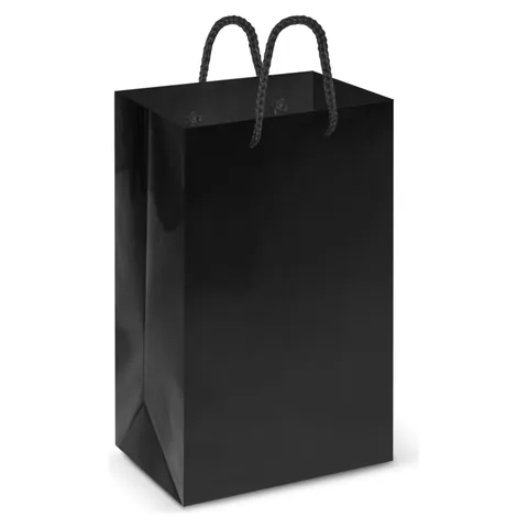 Laminated Carry Bag - Small black
