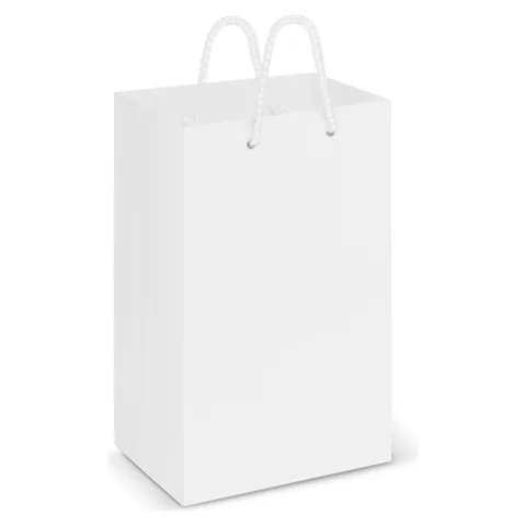 Laminated Carry Bag - Small in white