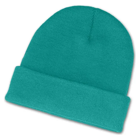 Everest Beanie teal