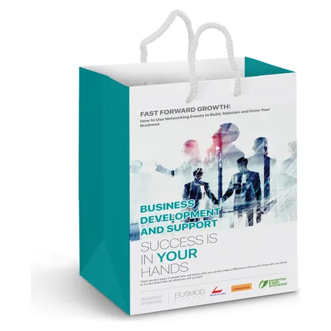 Medium Laminated Paper Carry Bag - Full Colour