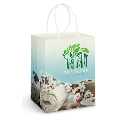 Large Paper Carry Bag - Full Colour
