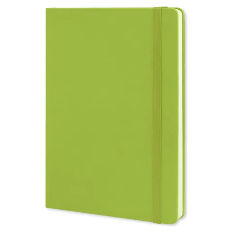 Moleskine Classic Hard Cover Notebook - Large bgreen