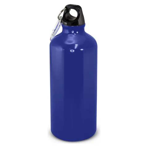 Intrepid Bottle - 600ml blue