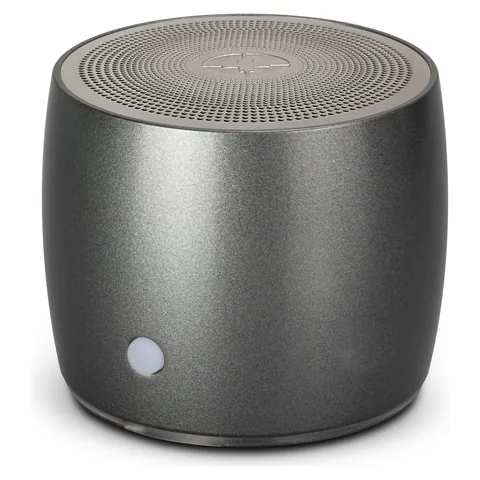 Swiss Peak Bass Speaker in grey