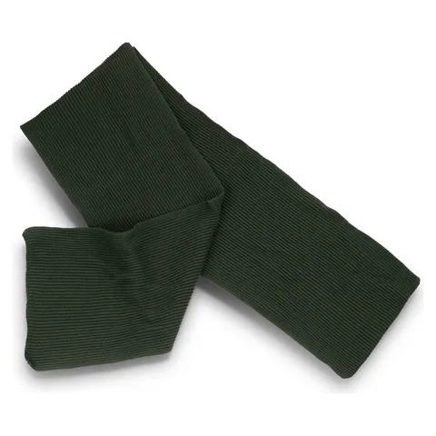 Denali Scarf in green