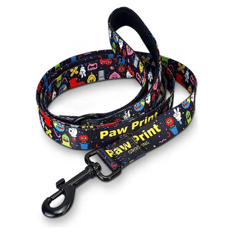 Amigo Dog Leash