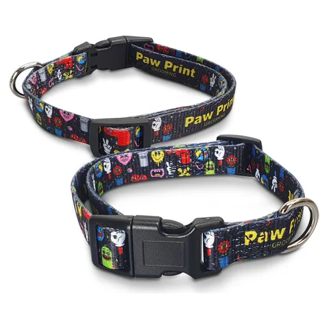Amigo Dog Collar