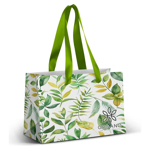 Small Ribbon Handle Paper Bag - Full Colour