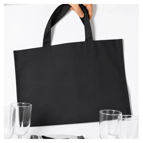 Capri Picnic Backpack Carry bag