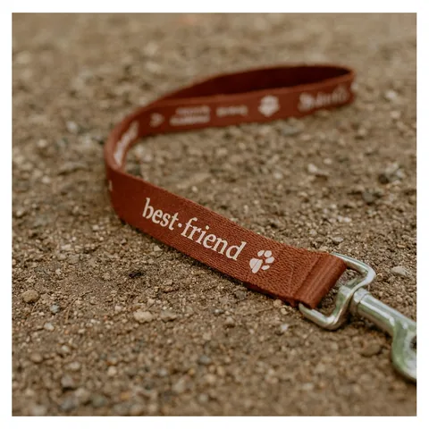 1.4M Dog Leash 19mm