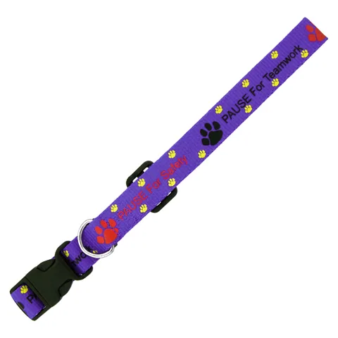 Dog Collar 10mm