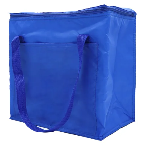Insulated Grocery Bag in Unbranded