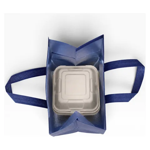 5L Insulated Reusable Bag in Open
