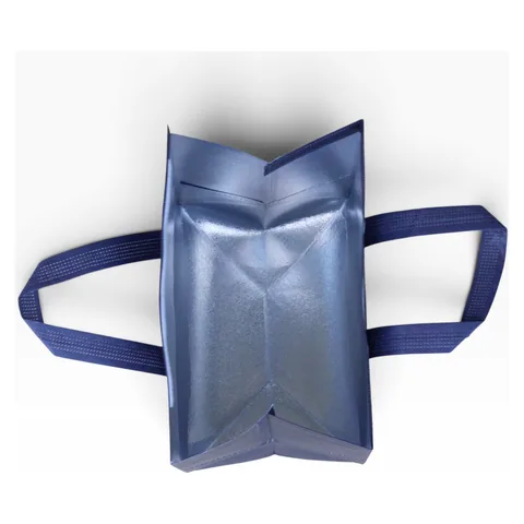 8L Insulated Reusable Bag in Open