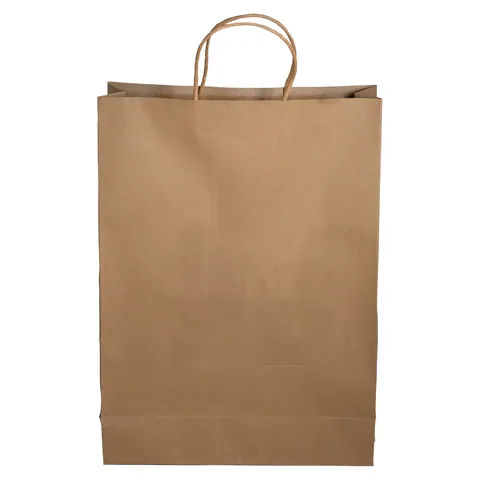 Paper Shopping Bag in Brown