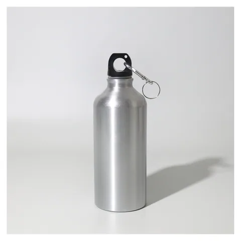 Voyager 600ml Bottle Silver
