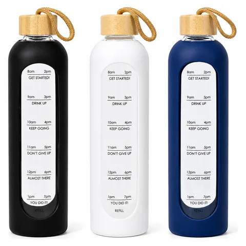 Arlo 1L Glass Water Bottle